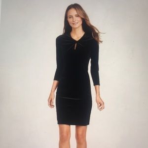 NWT J McLaughlin Ellie Holiday dress